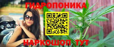 гидра Аргун