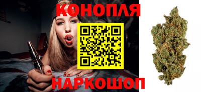 гидра Аргун