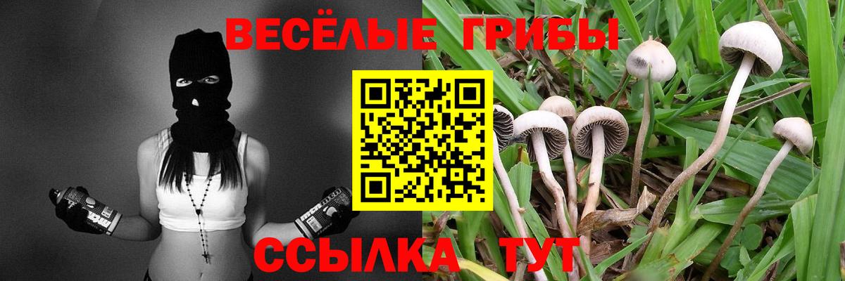 наркотики  Вход с VPN  Галлюциногенные грибы MAGIC MUSHROOMS  Астрахань  Псилоцибиновые грибы прущие грибы 